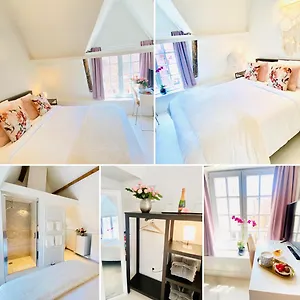  Bed & Breakfast The Flower Belgium